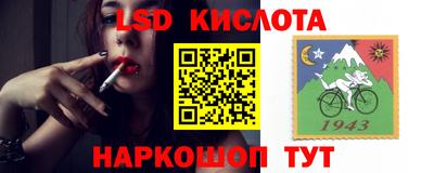 индика Моздок