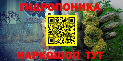 индика Моздок