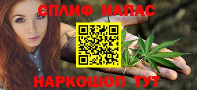 индика Моздок