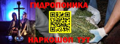 индика Моздок