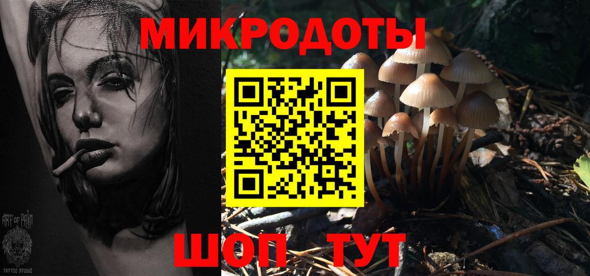 Волгодонск  Галлюциногенные грибы MAGIC MUSHROOMS  Вход с VPN 