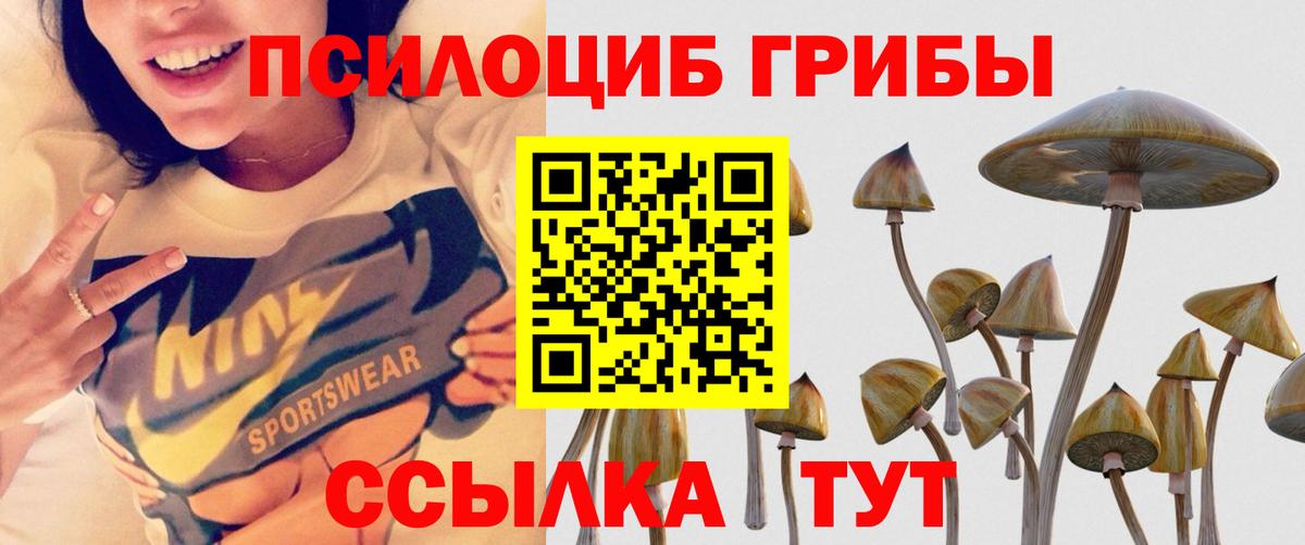 Псилоцибиновые грибы Magic Shrooms Волгодонск